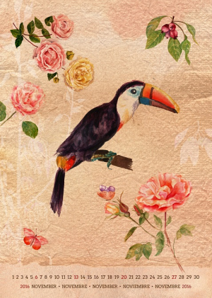 عکس با کیفیت  نقاشی پرنده طوطی